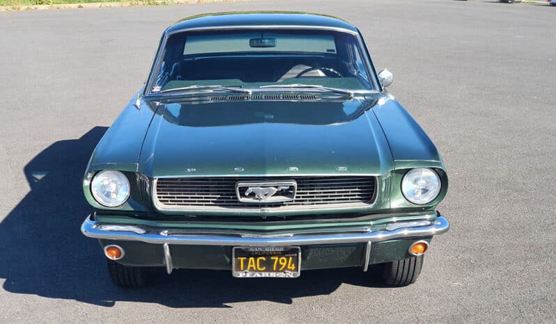 
								Ford Mustang voll									
