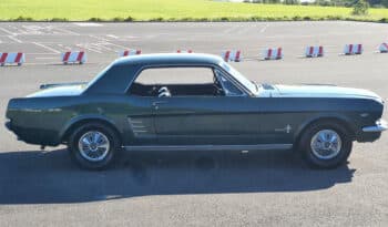 
									Ford Mustang voll								