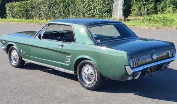 
									Ford Mustang voll								